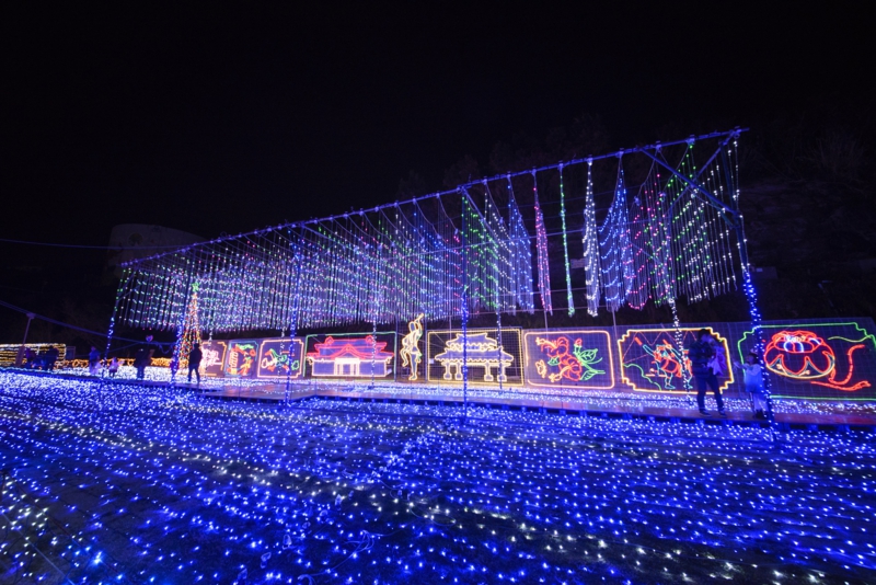 沖縄こどもの国クリスマス